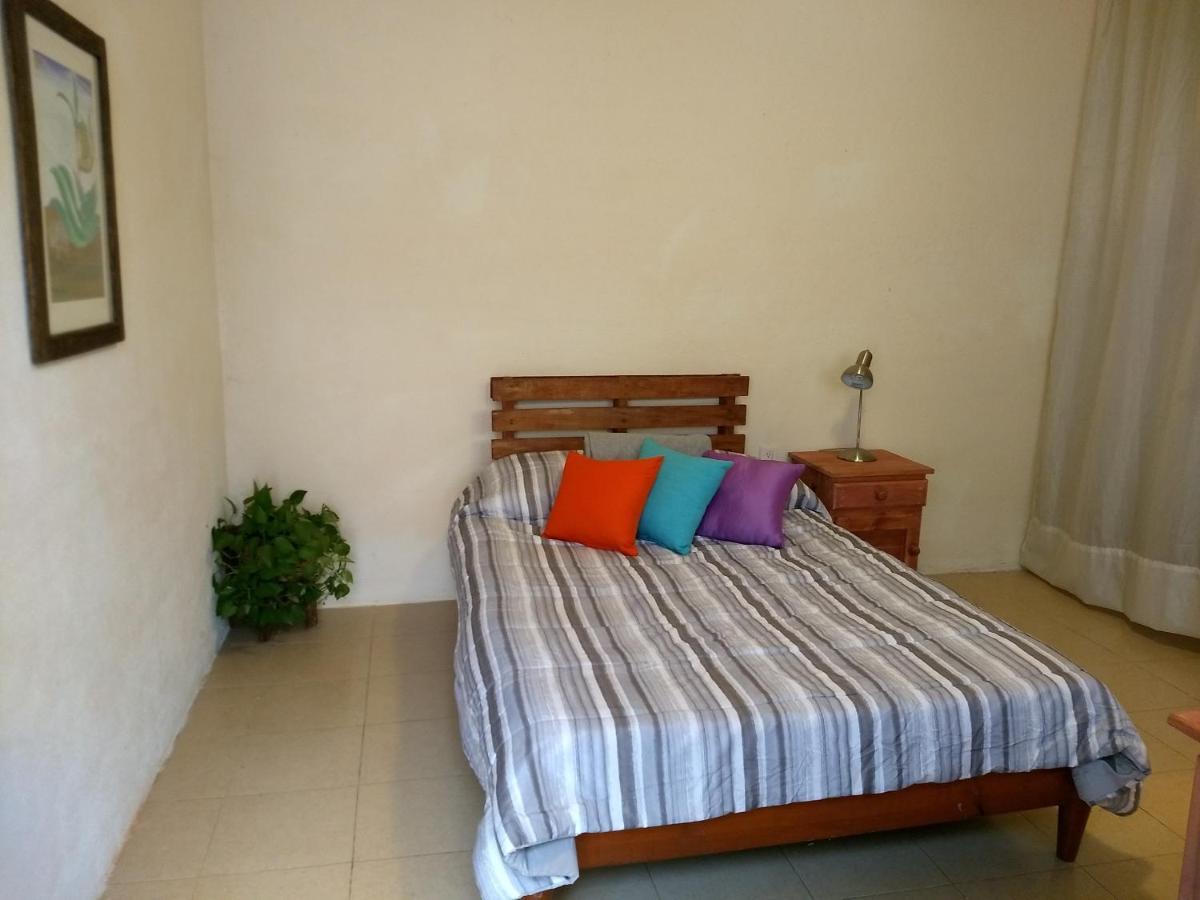 Tu Casa Oaxaca... Hotel Eksteriør billede