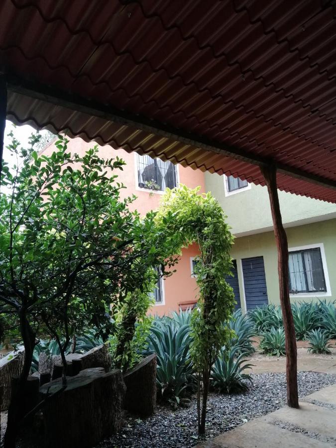 Tu Casa Oaxaca... Hotel Eksteriør billede