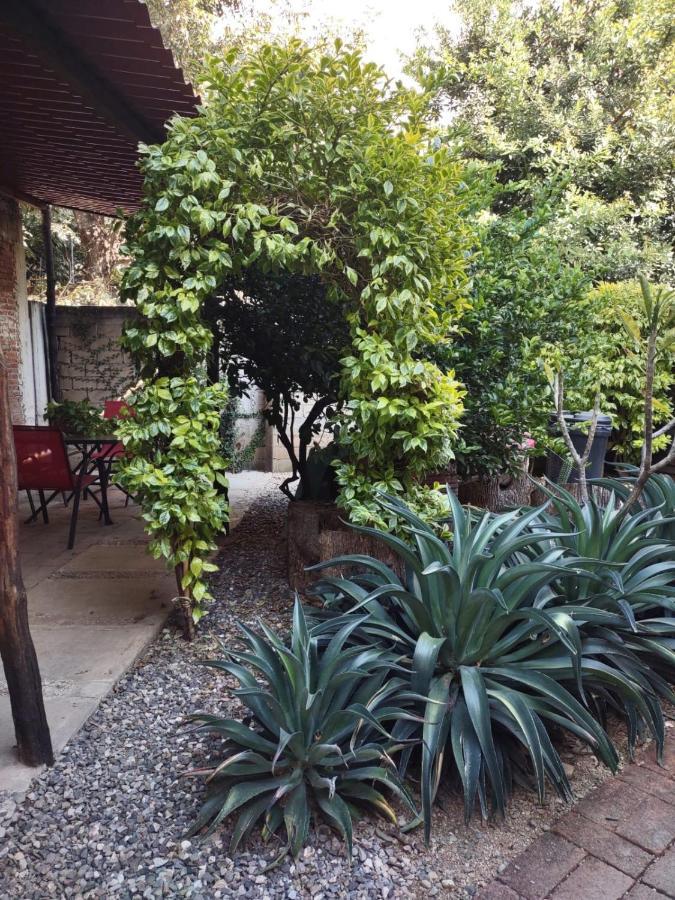 Tu Casa Oaxaca... Hotel Eksteriør billede