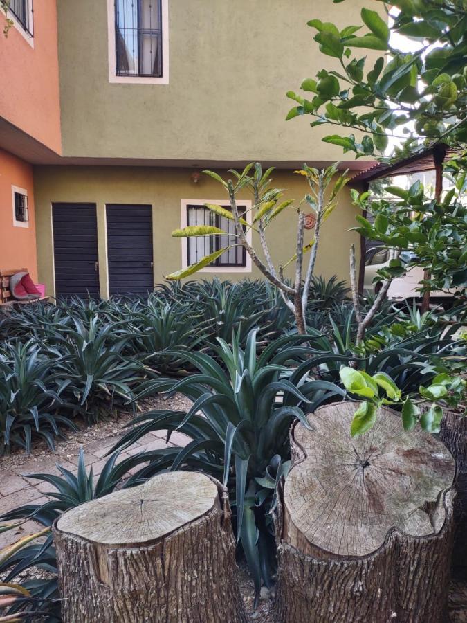 Tu Casa Oaxaca... Hotel Eksteriør billede